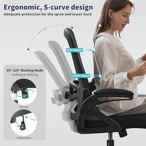 Ergonomic Office Chair, Desk Chair with Adjustable Lumbar Support, Breathable Mesh Comfy Computer Chairs with Flip-up Armrests Executive Task Chair for Adults Home Office(Black)