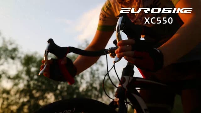 Road Bike 54CM Frame Mens Bikes 21 Speed Bicycle 700C Wheels