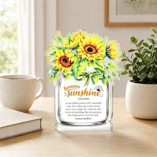 Motivational Inspirational Gift for Coworker Teacher Employee Leader Friend Coach, Definition Acrylic Office Desk Decor Human Sunshine Appreciation Gifts, Christmas Thank You Gifts for Women Men B0H3C7LC9Y