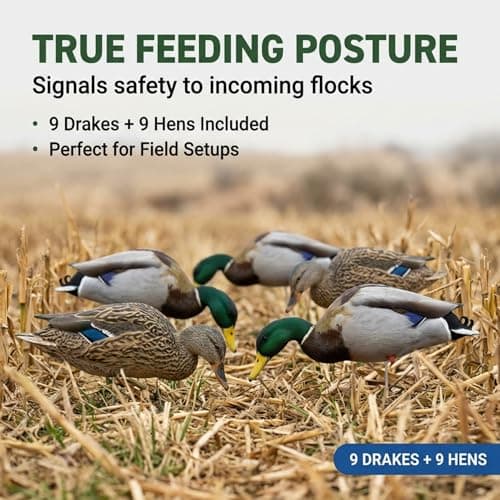 TCDesignerProducts 2D Wildlife Silhouette Decoys, Photo-Realistic Hunting Decoys for Snow Geese, Coyotes, Whitetail Bucks & Does, Mallards, Turkeys, Canadian Geese – Motion & Easy Setup