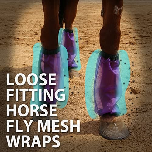 CareMaster Universal Size Horse Leggings Fine Mesh Horse Fly Boots Greatly Reduce Stomping Breathable Horse Boots Leg Wraps (Set of 4) Purple