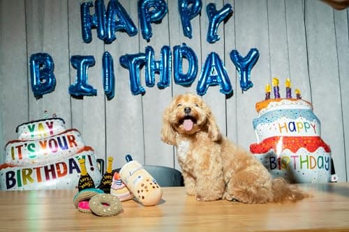 Birthday Bone Interactive Dog Toy - Interactive Tug Rope Pet Toy - Cute Unique Design Party Birthday Gift - Small Medium Puppy - Durable Chew Resistant Plush Toy with Squeaker for Teething (White)