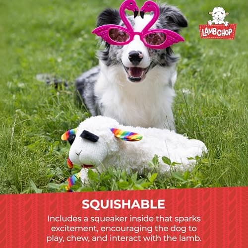 Soft Plush Dog Toy, Stuffed Animal Dog Toy For Playing, Cute Birthday Toy 10.5”, Pink Hat, 5 Squeakers Multipet Lamb Chop Dog Plush Toy with Birthday Hat - Squeaky Dog Toy B0BKH23JXC