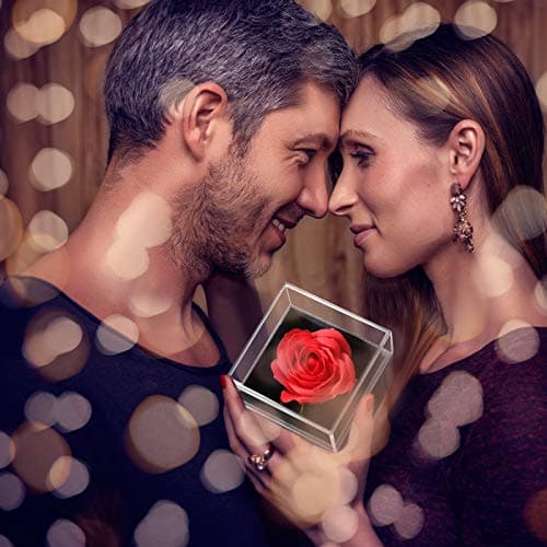 I Love You in 100 Languages Projection Necklace, Preserved Red Rose Flower in Box, Gift for Mother Mom Wife on Anniversary Hicarer Christmas Necklace Gift Girlfriend Women Heart Pendant B08QMKKXNJ