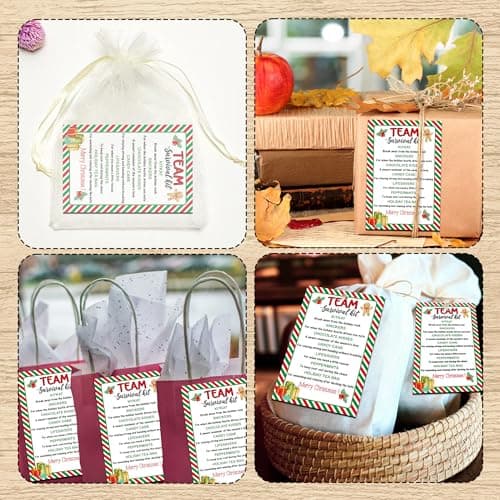 40 Pcs Team Survival Kit Gift Tag, Christmas Staff Appreciation Tags for Gift Bags, Welcome to the Team Gifts for Volunteers Employees - KA06 B0FJ2B58B3