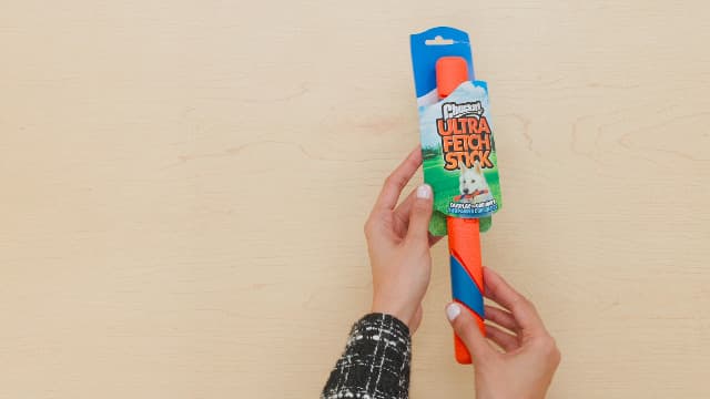Chuckit! Interactive Dog Toy Ultra Fetch Stick - 12 Inch Outdoor Dog Toy for All Breed Sizes