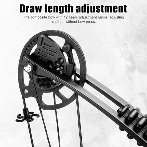 Compound Bow Kit Adjustable for Outdoor Use & Target Practice, 30-70lbs Archery Set with Carbon Arrows and Accessories