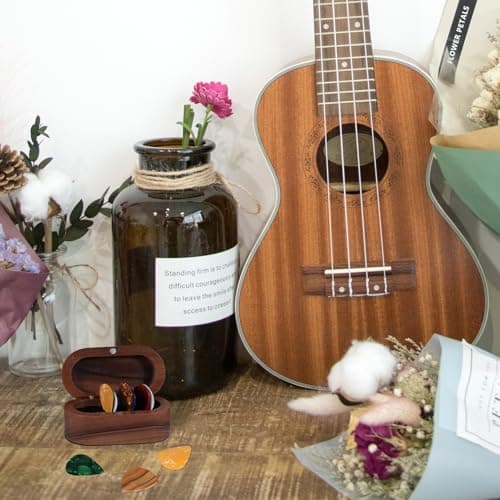 Walnut Guitar Plectrum Holder Set with 2 Color Wood Plectrums and 8 Celluloid Plectrums (4 Thicknesses),Mini Jewelry Box,Brown Wooden Trinkets,Box Size 3.35 * 1.77 * 1.57 inch (Wood color)