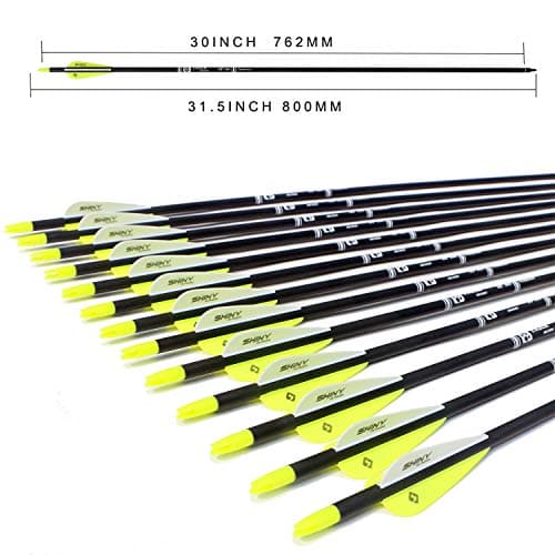 TIGER ARCHERY 30Inch Carbon Arrow Practice Hunting Arrows with Removable Tips for Compound & Recurve Bow(Pack of 12)