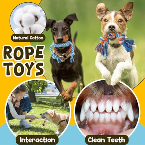 Zeaxuie 9 Pack Luxury Puppy Toys for Teething Small Dogs, Puppy Chew Toys with Cute Squeaky Dog Toys, Ball and More Rope Dog Chew Toys B094XG29MW