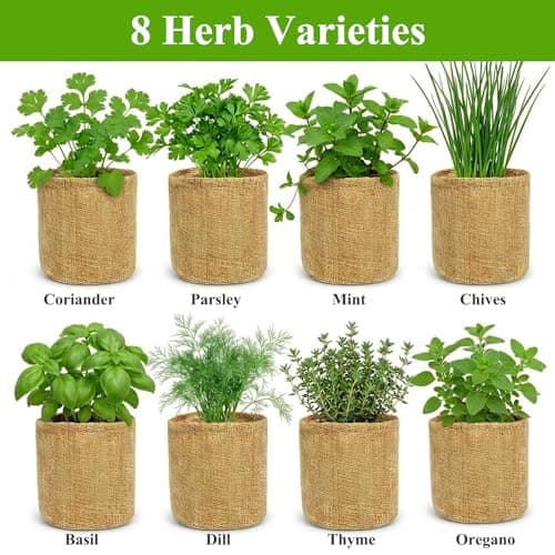 Indoor Herb Garden Kit, Culinary Herb Starter Kit with Seeds & Tools for Beginners, Kitchen Decor, House Warming Gifts for New Home, for Christmas, Ultimate Birthday Gifts for Women Men Mom Dad B0GR93MPX1