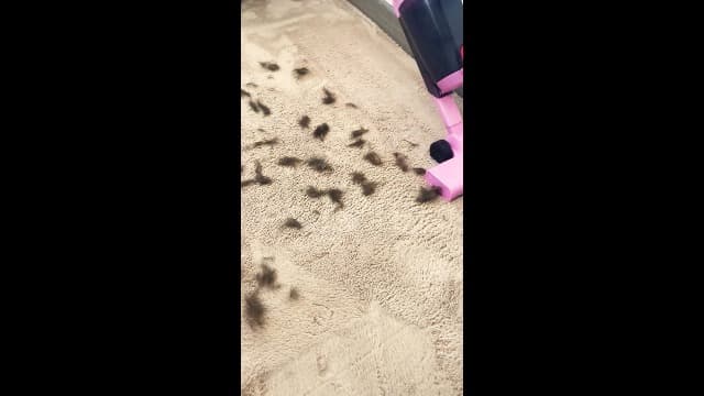 Vazone R6X Corded Stick Vacuum Cleaners for Home, 30Kpa Powerful Suction Stick Vacuum with 16Ft Cord, 2 in 1 Lightweight Handheld Vacuum Cleaner for Hardwood Floor Pet Hair