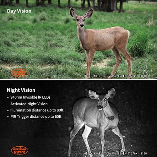 20MP Mini Trail Camera 1080P Hunting Trail Camera with No Glow 940nm Night Vision Motion Activated IP66 Waterproof,80ft Illumination Range Hunting Game Cam for Wildlife Monitoring- Grey-(2 Packs)