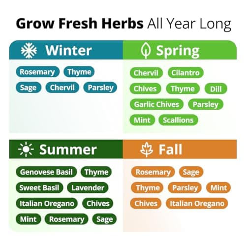 15 Culinary Herb Seeds - Heirloom & Non GMO - High Germination Rate - Seeds for Planting Indoor Hydroponic or Outdoor Herbs Garden | Gardening Gift Men Women Gardeners - Basil, Cilantro, Mint B07JCFWJ98