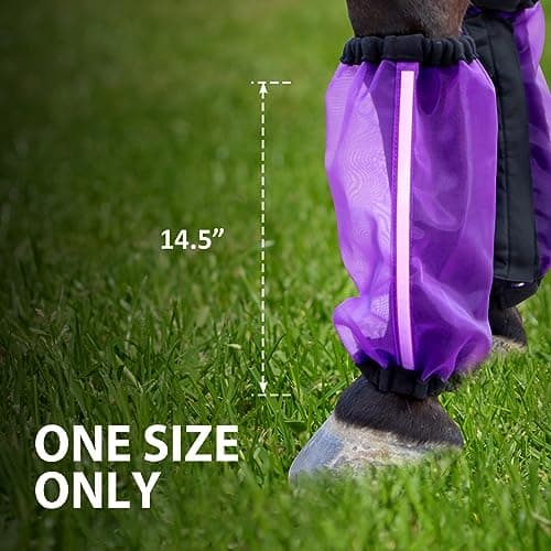 CareMaster Universal Size Horse Leggings Fine Mesh Horse Fly Boots Greatly Reduce Stomping Breathable Horse Boots Leg Wraps (Set of 4) Purple