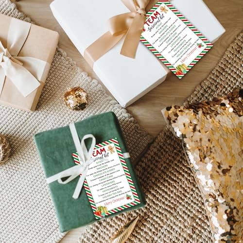 40 Pcs Team Survival Kit Gift Tag, Christmas Staff Appreciation Tags for Gift Bags, Welcome to the Team Gifts for Volunteers Employees - KA06 B0FJ2B58B3