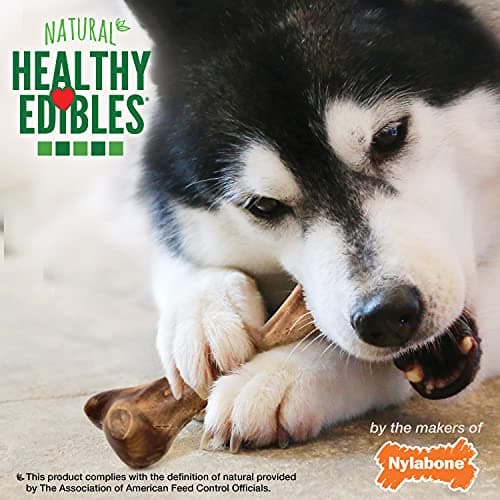 Nylabone Healthy Edibles WILD Natural Dog Chew Treats for Large Dogs, Long Lasting Dog Healthy Chew Bones Made in USA, Venison Flavor, For Dogs Up to 50 lbs. (1 Count)