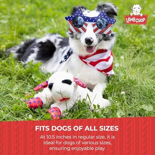 Soft Plush Dog Toy, Stuffed Animal Dog Toy For Playing, Cute Birthday Toy 10.5”, Pink Hat, 5 Squeakers Multipet Lamb Chop Dog Plush Toy with Birthday Hat - Squeaky Dog Toy B0BKH23JXC