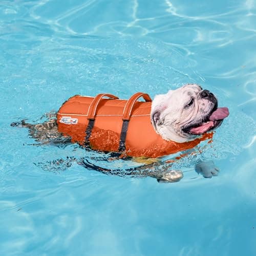 Outward Hound Granby Splash Orange Dog Life Jacket, Medium