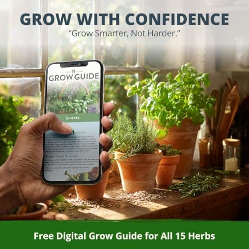 15 Culinary Herb Seeds - Heirloom & Non GMO - High Germination Rate - Seeds for Planting Indoor Hydroponic or Outdoor Herbs Garden | Gardening Gift Men Women Gardeners - Basil, Cilantro, Mint B07JCFWJ98