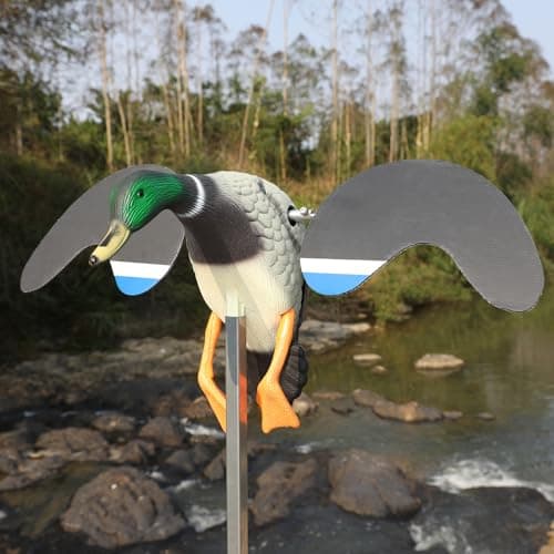 Realistic Mallard Duck Models That Hunting Enthusiasts Love as decoys and Ornaments
