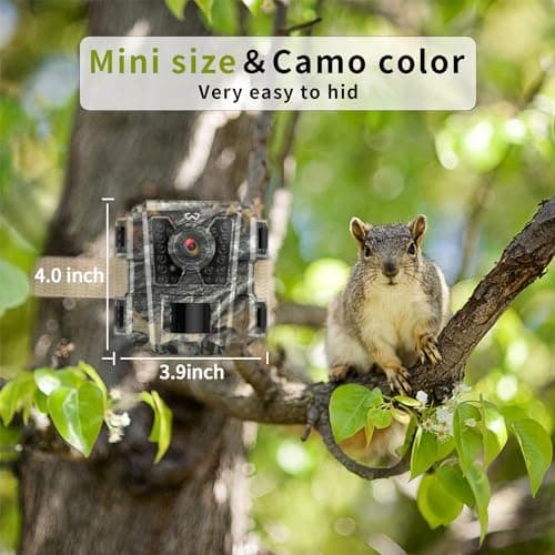 Mini Trail Camera 4 Pack 24MP 1080P HD, Game Cam with SD Card, Waterproof Tiny Deer Camera Night Vision Motion Activated with Fast Trigger Time for Outdoor Wildlife Monitoring