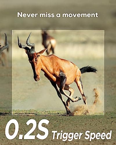 iZEEKER Trail Camera, HD Game Camera with 940nm No Glow Night Vision Motion Activated 0.2s Trigger Time, Hunting Camera No WiFi, IP66 Waterproof for Wildlife Monitoring Outdoor Security Deer Scouting