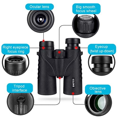 10x42 Binoculars for Adults - Professional HD Roof BAK4 Prism Lens Binoculars for Bird Watching, Hunting, Travel, Sports, Cruise, with Carrying Bag (1.1Lbs)