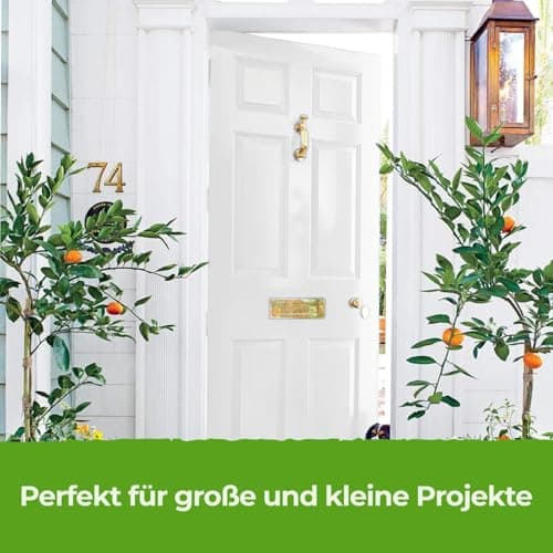 THE ONE All-In-One Paint & Primer - White Gloss, 84.5 Fl Oz/2.5 Liter | 1 Coat Formula | Easy Indoor & Outdoor Decorating for Home & Garden Walls, Floors & Furniture | Water-Based & Low VOC