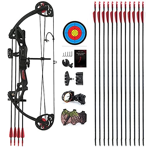 Compound Bow Archery for Youth and Beginner, Right Handed,19”-28” Draw Length,15-29 Lbs Draw Weight, 260 fps