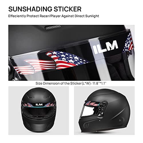 ILM Snell SA2020 Full Face Auto Car Racing Helmets for Men and Women Model 760(Matte Black, L)