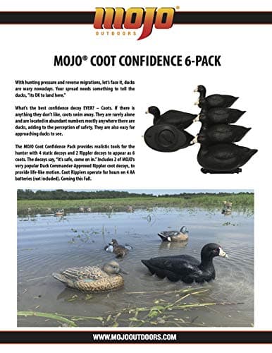 MOJO Outdoors Coot Confidence Decoys for Duck Hunting, Increases Realism and Entices Ducks to Land, Pack of 6