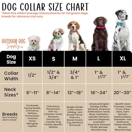 Outdoor Dog Supply 1" Heavy Duty Reflective Waterproof D-Ring Dog Collar for Medium & Large Dogs with 3/4" Custom Brass Nameplate (Reflective Orange, 21")