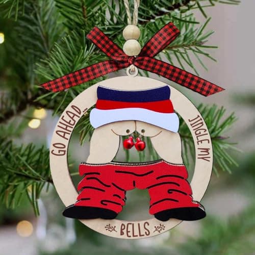 Funny Ornaments for Exchange, Silly,Naughty Ornament,Funny Gift, Dirty Santa Gifts, White Elephant Gag Gifts Funny Christmas Ornaments Adult, Ugly, Inappropriate, Fun, Unique Ornaments B0D8BBG6CR