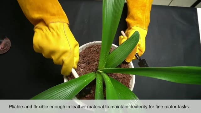 Acdyion Gardening Gloves for Women/Men Rose Pruning Thorn & Cut Proof Long Forearm Protection Gauntlet, Resistant Thick Cowhide Leather Work Garden Gloves