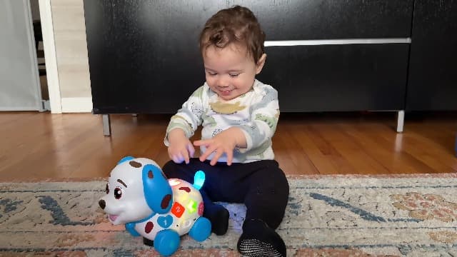 HumorPlay Musical Puppy Baby Toy 6-12-18 Month, Crawling & Walking Toys for 1 Year Old Boy Girl Gifts, Birthday Gift for 1 Year Old Boy Toy, Bilingual Infant Present for 6 7 8 9 10 Month B0DLFV6YPR