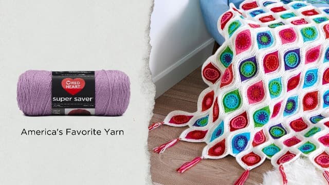 Red Heart Super Saver Super Yarn Craft Kit for Crochet & Knitting & Amigurumi Projects