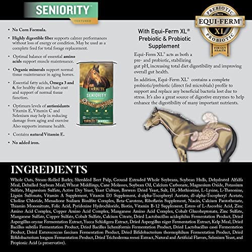 Kalmbach Feeds Tribute Maturity Textured for Horse, 50 lb