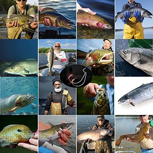 Afmivs Worm Hooks for Bass Fishing Hooks, 110pcs Bass Hooks Fishing, 6 Sizes Fishing Hooks Freshwater, Eagle Claw Hooks #1 1/0 2/0 3/0 4/0 5/0 Black High Carbon Steel with Portable Plastic Box