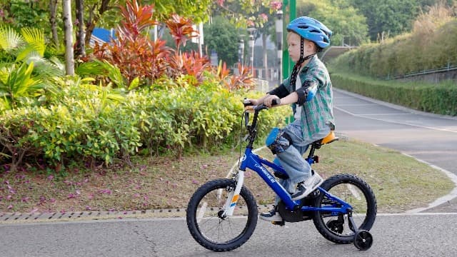 WEIZE Kids Bike,14 16 20 Inch Children Bicycle for Boys Girls Ages 3-12 Years Old, Rider Height 32-60 Inch, Coaster Brake, Multiple Color Options