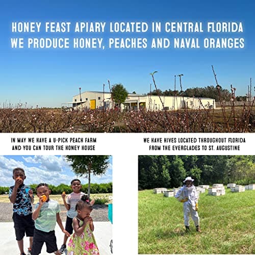 HONEY FEAST Bourbon-Infused Sweetener 12 oz | Artisanal Small-Batch Raw Blend | Ideal for Bourbon Enthusiasts & Gourmets B086RMJKQ9