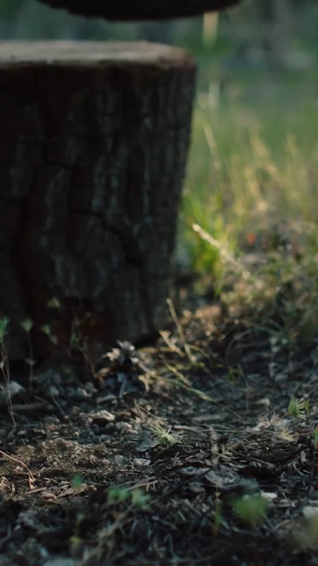 NORTIV 8 Men's Ankle High Waterproof Hiking Boots Outdoor Lightweight Shoes Trekking Trails Armadillo