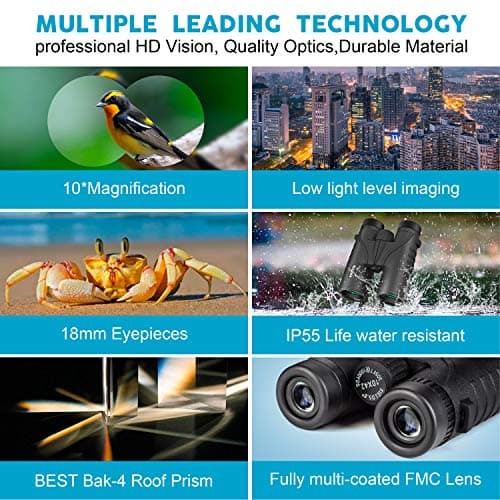 10x42 Binoculars for Adults - Professional HD Roof BAK4 Prism Lens Binoculars for Bird Watching, Hunting, Travel, Sports, Cruise, with Carrying Bag (1.1Lbs)