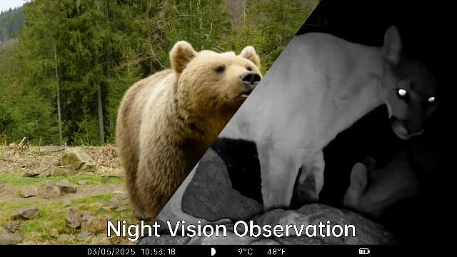 Trail Camera 2 Pack 36 MP 2.7K Game Camera 32GB Memory Card 4 Batteries Time 2.0" LCD Screen, Trail Cameras with 120°Wide Night Vision IP66 Waterproof for Monitoring Wildlife Trail Cam