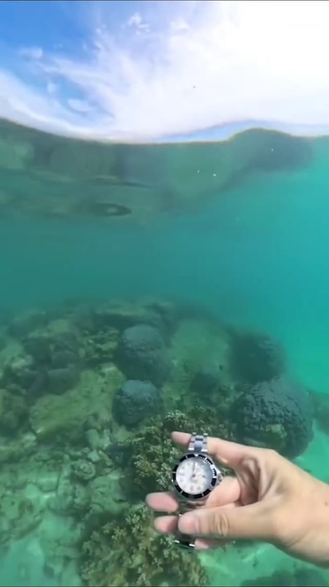 RATIO FreeDiver Sapphire Crystal Women's Diver Watch Japanese Automatic Movement Dive Watch 200m Water Resistant Diving Watch