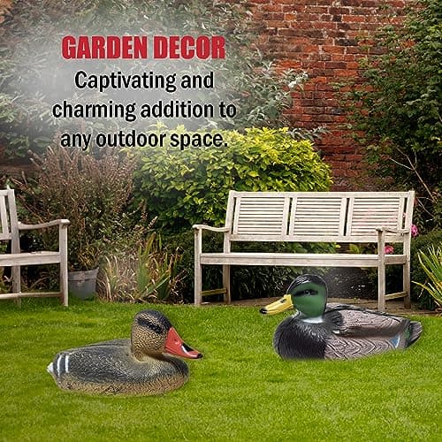 Duck Decoys for Hunting | Floating Duck Decoy for Pool, Pond & Lake