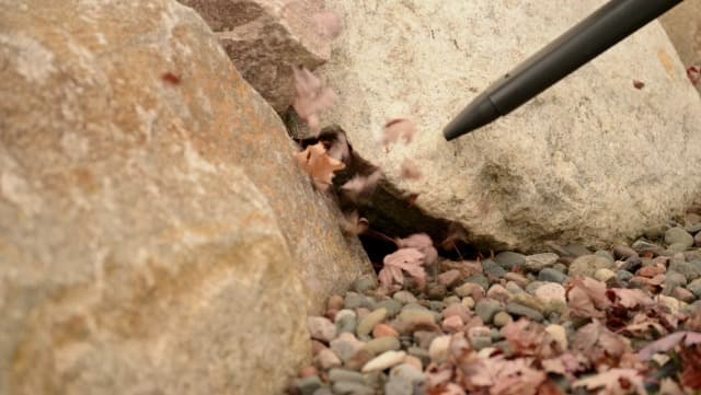 Toro 51619 Ultra Electric Blower Vac, 250 mph, Red