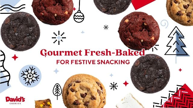 David's Cookies Merry Christmas Mini Cookies in Sweet Sampler Tin - Assorted Mini Christmas Cookies with Chocolate & White Chocolate Chip and Red Velvet - Gourmet Cookie Gift Basket for Holidays 14oz