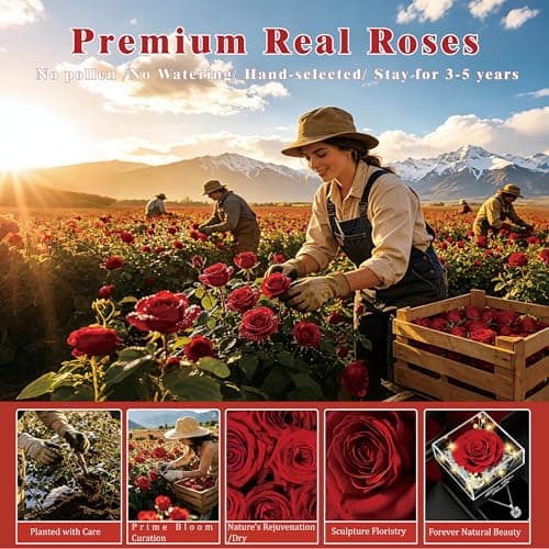 Preserved Red Real Rose with Heart I Love You Necklace -Eternal Flowers Rose Birthday Gifts for Women Her Mom Wife Girlfriend Grandma on Valentines Mothers Day Christmas Anniversary Romantic-Red