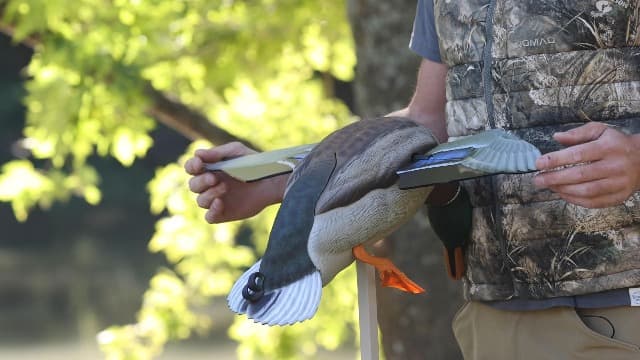 Avian-X Powerflight Smart Motion Mallard Spinning Wing Duck Decoy, Ideal for Hunting, Outdoor, Wasp, Deer, Bee Deterrent, Fake Call, Animal Scare